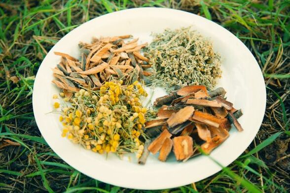 rimedi popolari per vermi e parassiti negli esseri umani