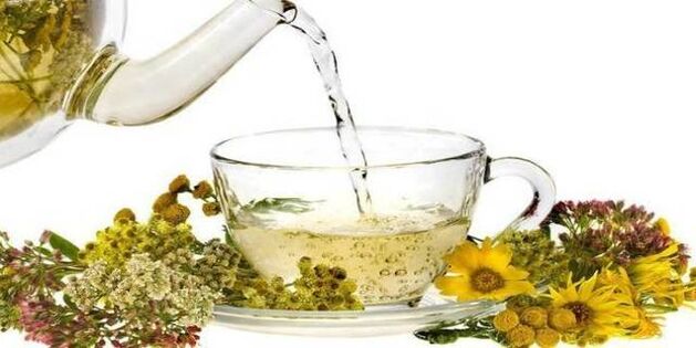 decotto per la pulizia dei parassiti