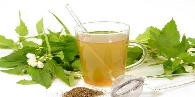 tintura a base di erbe contro i parassiti